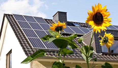 Scientists at Yale have improved the ability of a promising type of solar cell t