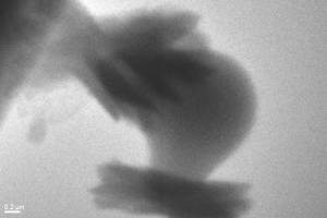 Berkeley Lab Helps Capture Birth of Mineral in Real Time