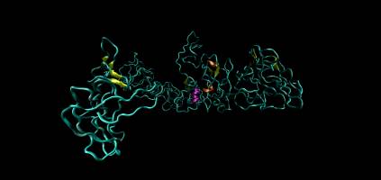 Ferroelectric switching seen in biological tissues