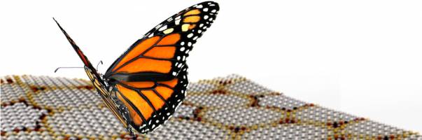 Graphene's multi-coloured butterflies