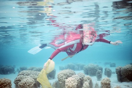 The late Dr Linda Moore sampling microbialites. Photo by  Bob Burne.