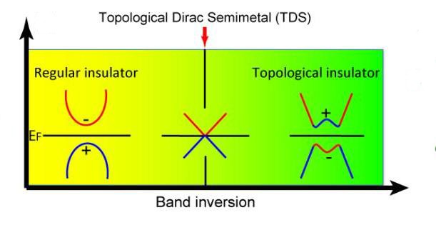 A topological Dirac semi-metal state is realized at the critical point in the ph