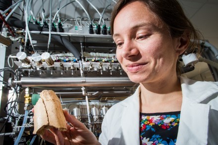 Dr Rachel Wood with a 40,000 year old bone of a red deer, showing cut marks made