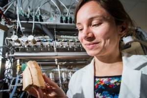 Neanderthals and Modern Humans coexisted