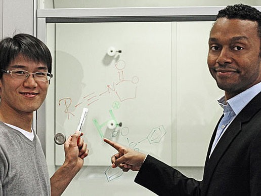 Postdoc Langui Xie und Nuno Maulide, since October 2013 Full  for Organic Synthe