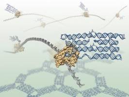 Programmed to Fold: RNA Origami