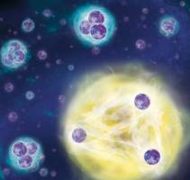 Quantum Trimer - From a Distance