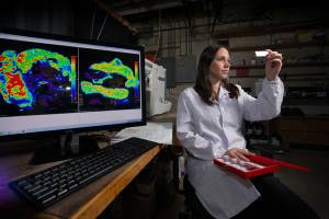 Stanford chemists develop new technique for improving stomach cancer surgery results