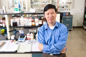 Stem cells take initial step toward development in the lab