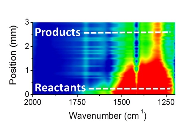 Inrared microspectroscopy scans can track the formation of different chemical pr