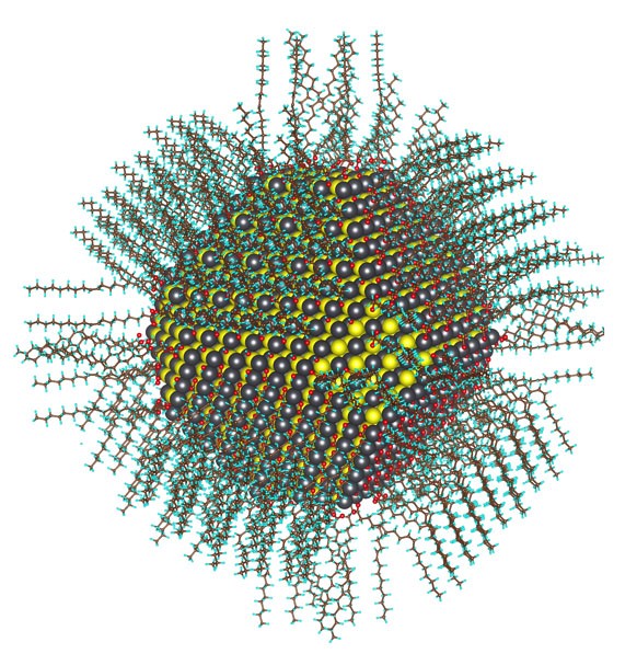 Calculated atomic structure of a 5nm diameter nanocrystal passivated with oleate