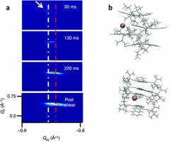 X-rays, computer simulations reveal crystal growth