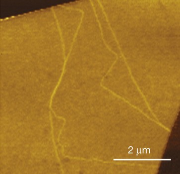 In this near-field infrared nanoscopy image of bilayer graphene obtained at the 