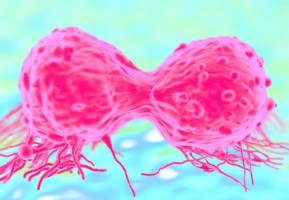 Cholesterol-lowering statins could help tackle breast cancer