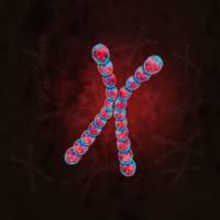 How an RNA Gene Silences a Whole Chromosome
