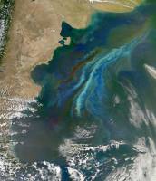 Marine plankton brighten clouds over Southern Ocean