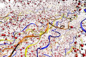 New analysis explains collagen's force