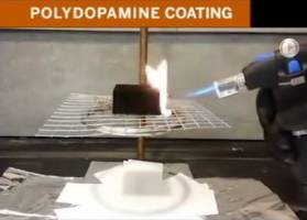 Texas Engineers Develop Nontoxic Flame Retardant