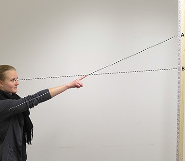 Die meisten Betrachter glauben, dass die Person etwa an Position A zeigt. Tats�c