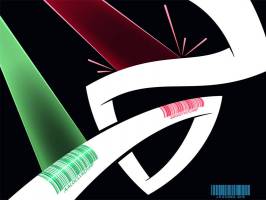 A look at the molecular quality assurance within cells