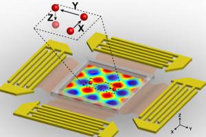Acoustic tweezers manipulate cells with sound waves