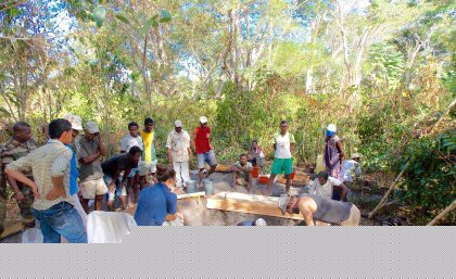 Ancient crops provide clue to Madagascar&rsquo;s past