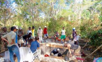 Ancient crops provide clue to Madagascar's past