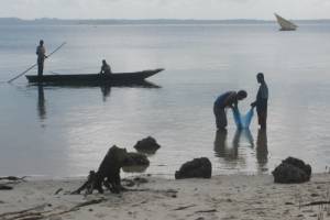 Ancient rice may hold key to solving the puzzle of the settlement of Madagascar