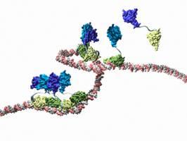 Binding to produce flowers