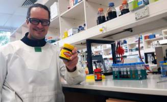 Brewing Vegemite beer for science