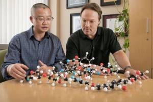 Chemical compound holds promise as cancer treatment with fewer side effects than traditional chemotherapy