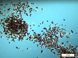 High-performance material polyimide for the first time with angular shape