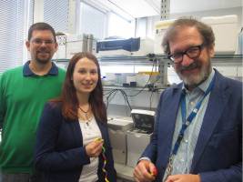 How a cold gets into cells