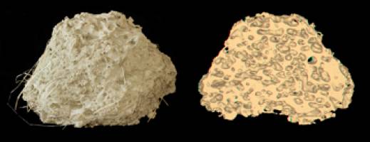 How ants self-organize to build their nests