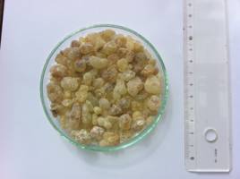 Lifting the veil on Queen of Sheba's perfume