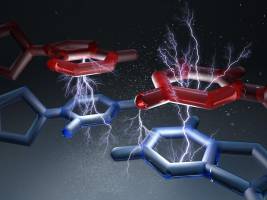 Measuring forces in the DNA molecule