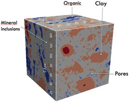 � M. Hubler (MIT) and J. Gelb (Carl Zeiss X-ray Microscopy)  X-ray microscopy (X