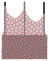 Computer simulations show that skin cell ensembles on a micropatterned substrate