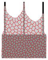 Predicting Cell Behaviour with a Mathematical Model