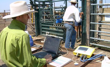 The CashCow project demonstrated the potential of electronic monitoring of herd 