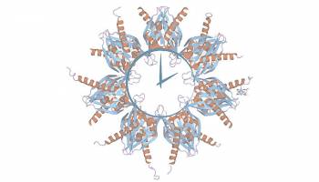 Right timing is crucial in life