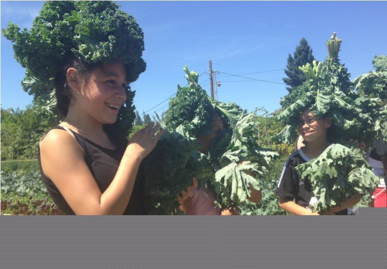 Kids get creative with kale in an urban garden in Tacoma, Washington. Kristen Mc