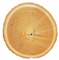 Staying in shape: How wood chemistry relates to structural stability