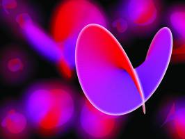 The Exception and its Rules