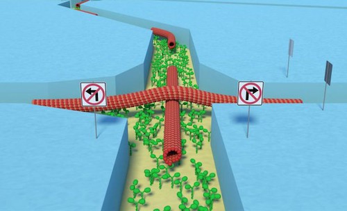 Researchers have now been able to show that a parallel computer utilising molecu