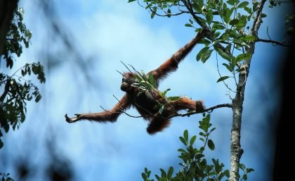 The study shows US$30-40 million invested by governmental and non-governmental o