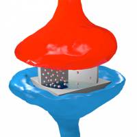 Electronic synapses that can learn: towards an artificial brain?