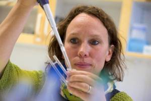 How solvents affect the skin