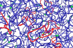 New strategy produces stronger polymers