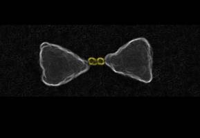 Researchers uncover secret of nanomaterial that makes harvesting sunlight easier